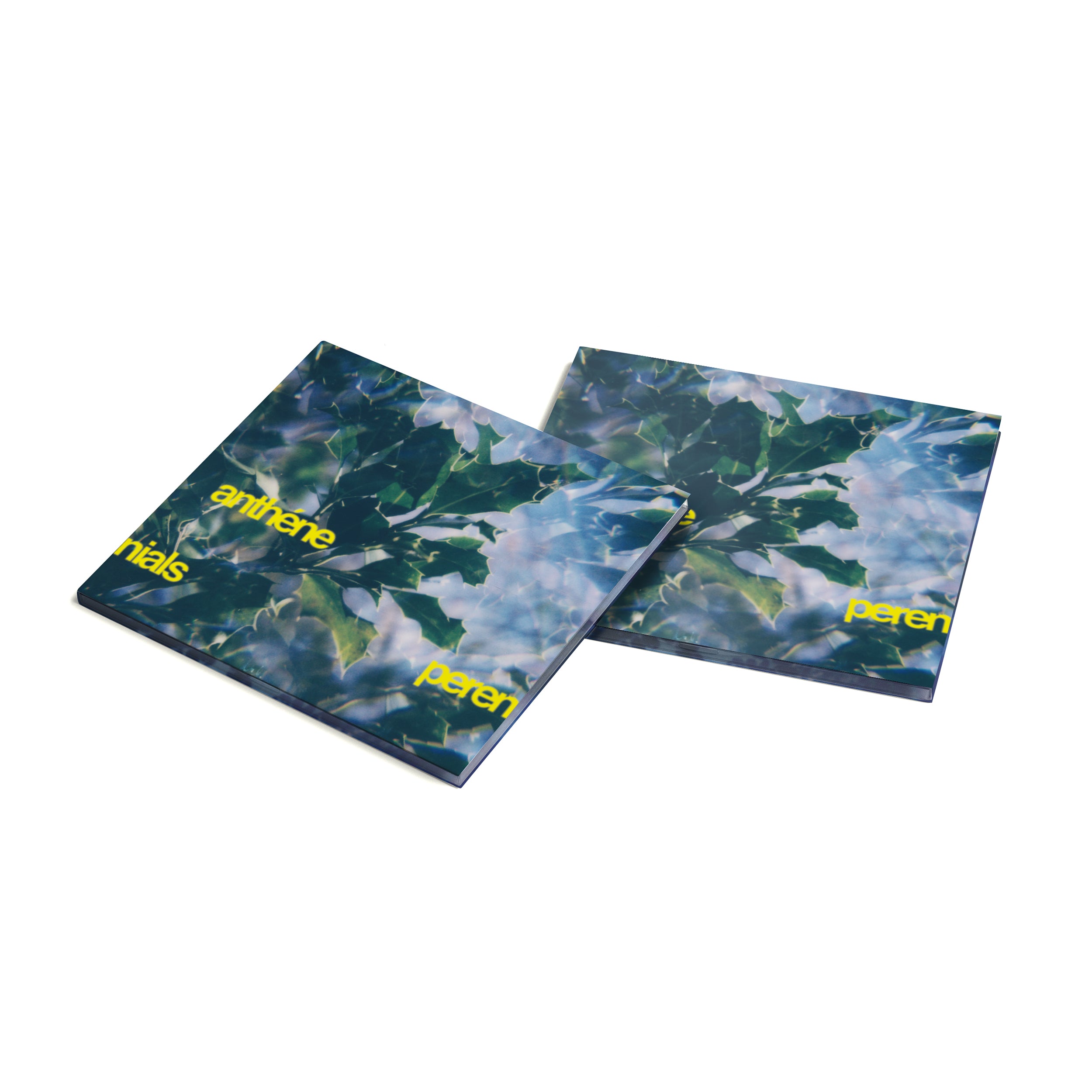 Past Inside the Present | All Releases