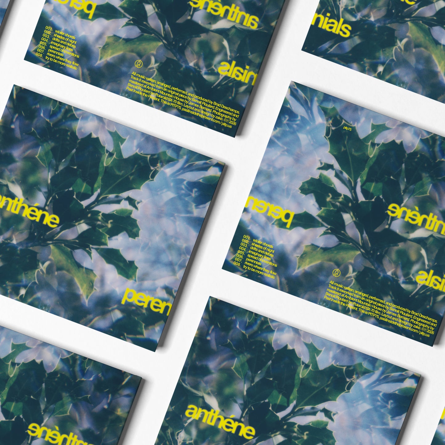 anthéne 'perennials' [CD] (pre-order)