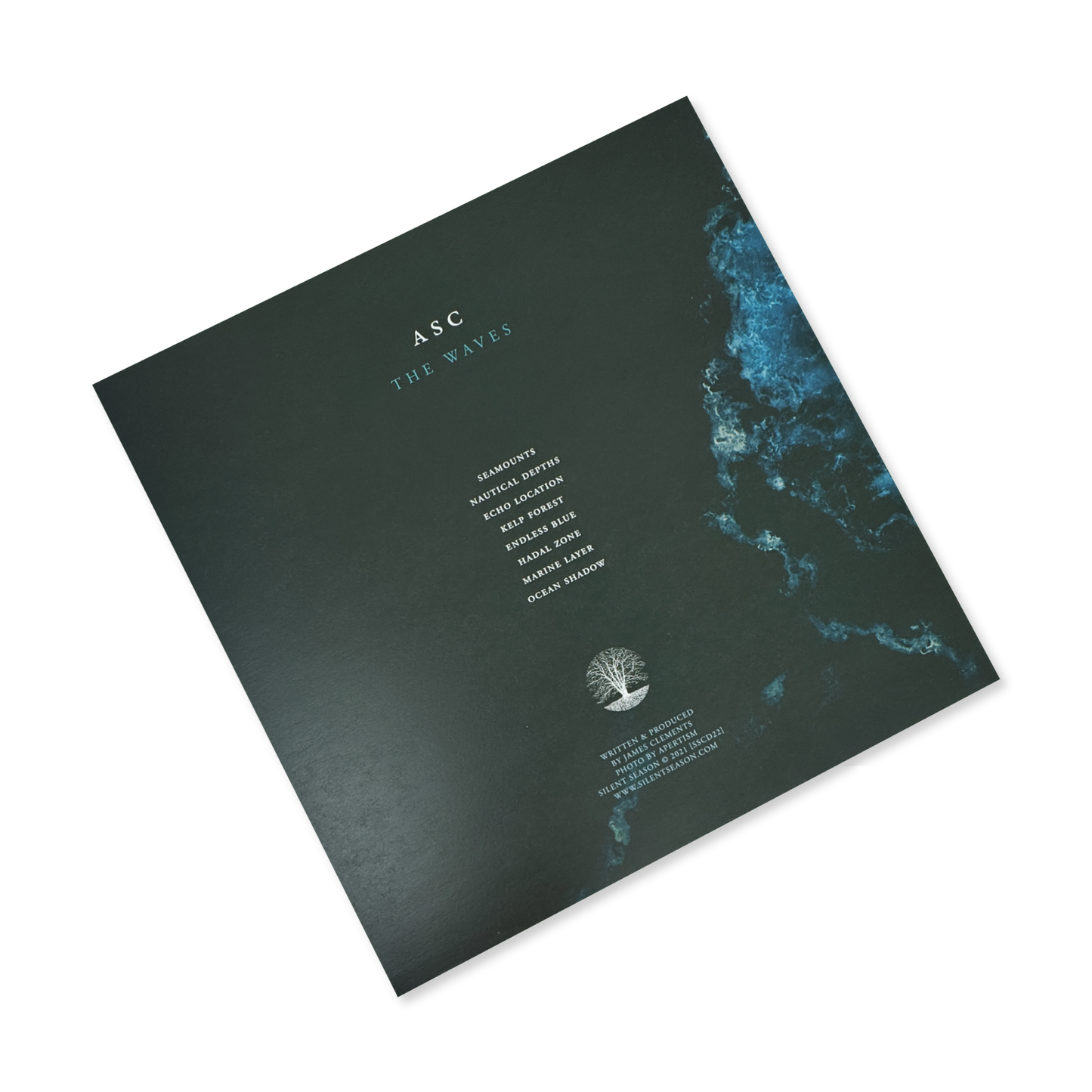 ASC 'The Waves' [2LP]