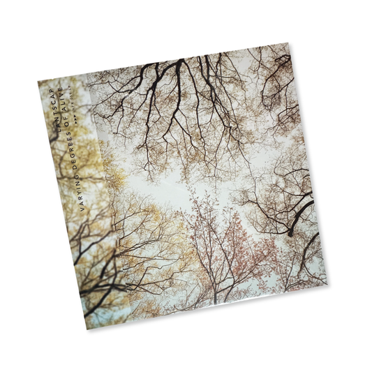 Lantscap 'Varying Degrees Of Alive' [LP]