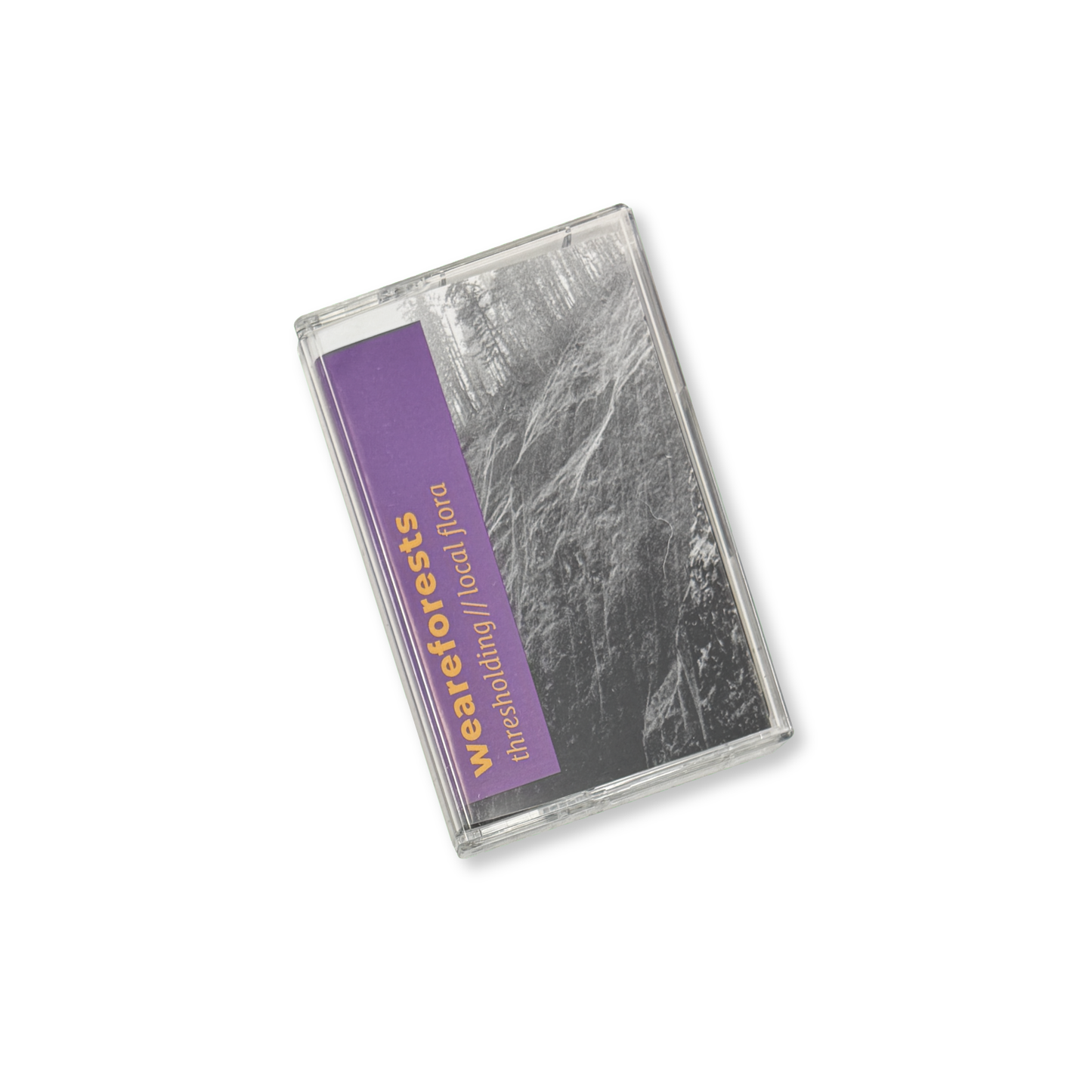 weareforests 'thresholding // local flora' [CS]