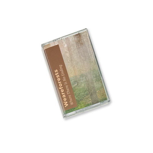 weareforests 'Where There Is No Ending' [CS]