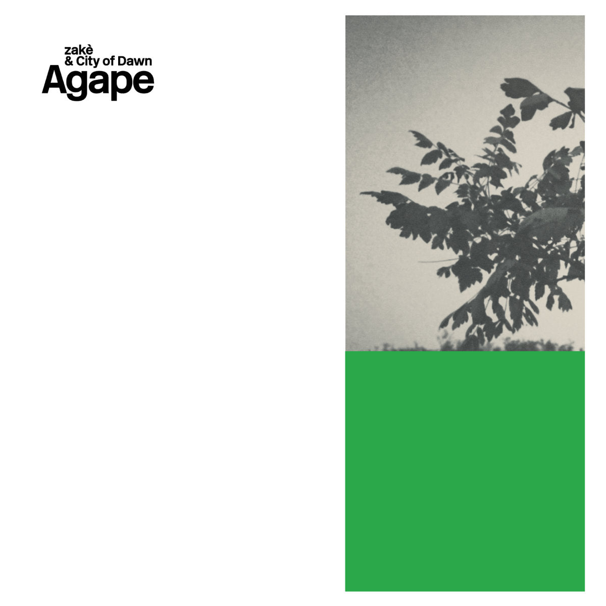 zakè & City of Dawn 'Agape' [LP, test press]