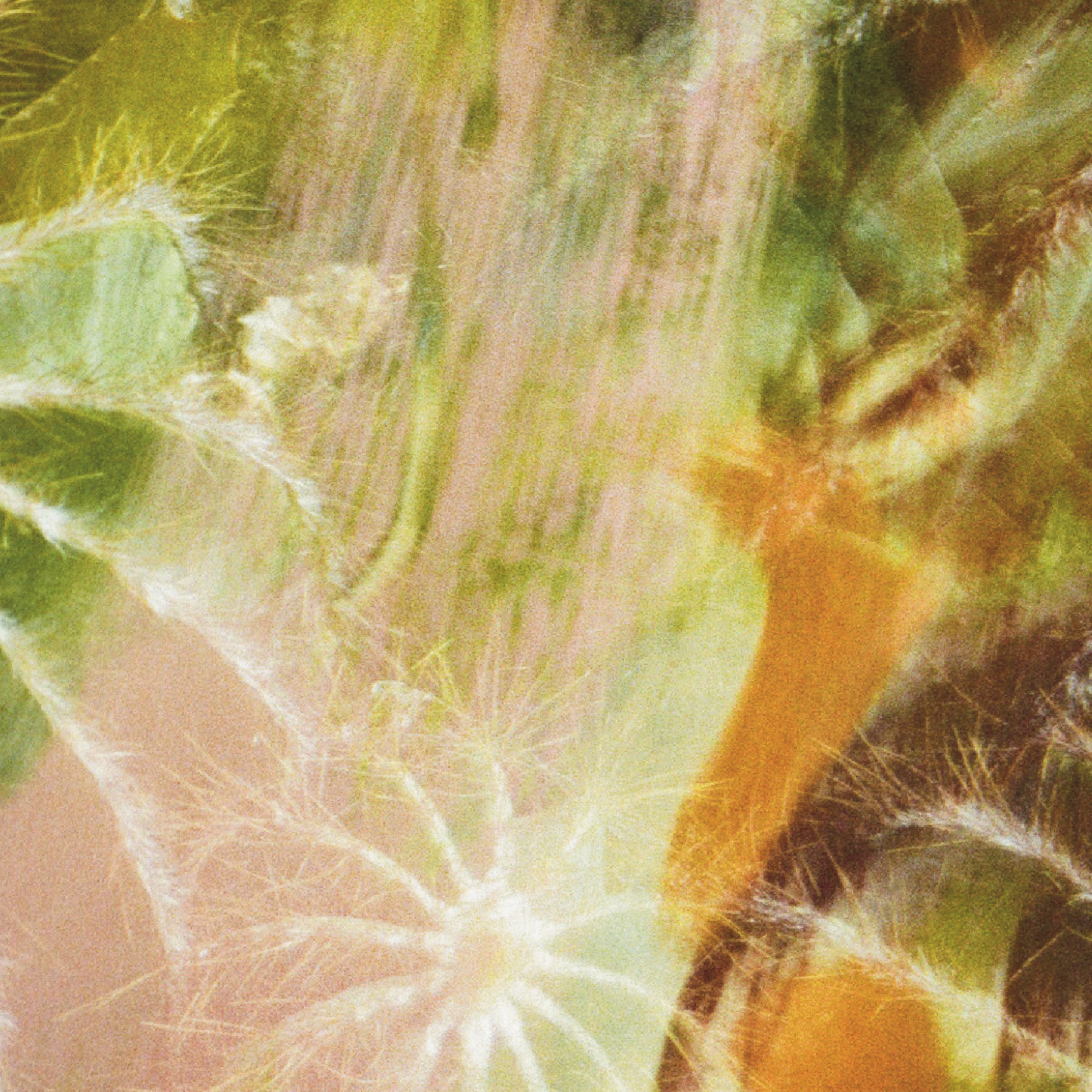 Almost An Island 'Few Words Are Enough EP' [CS]