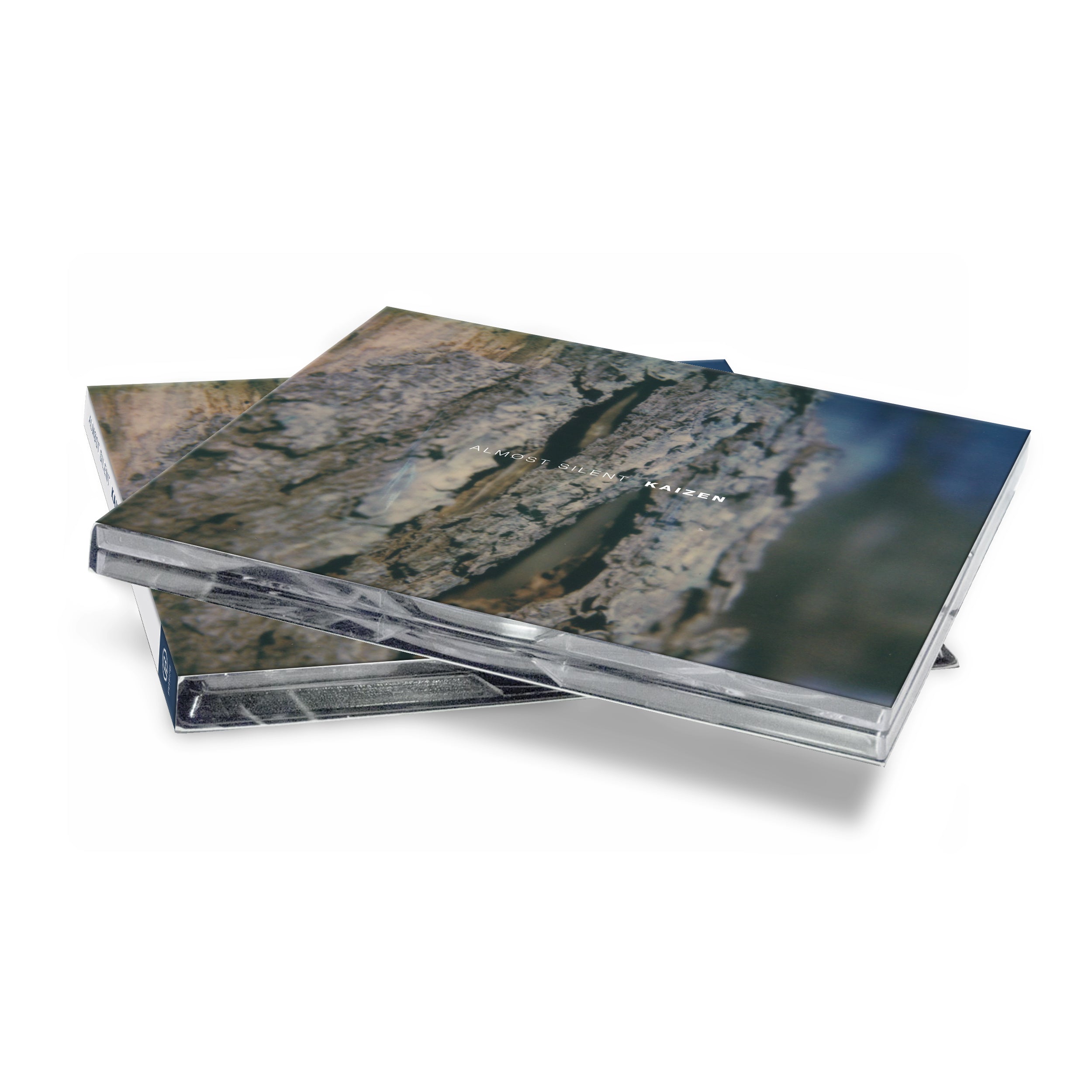 Past Inside the Present | All Releases