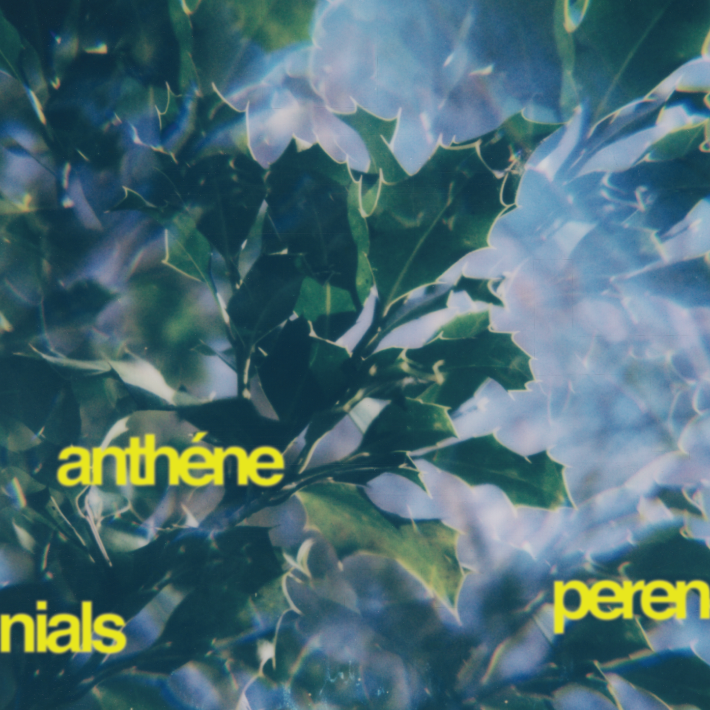 anthéne 'perennials' [CD] (pre-order)