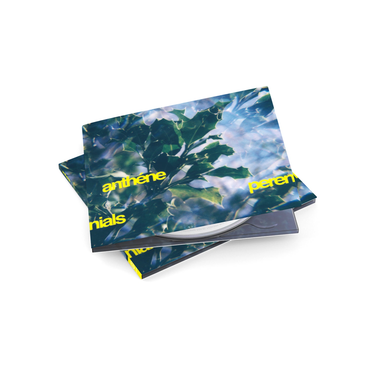 anthéne 'perennials' [CD] (pre-order)