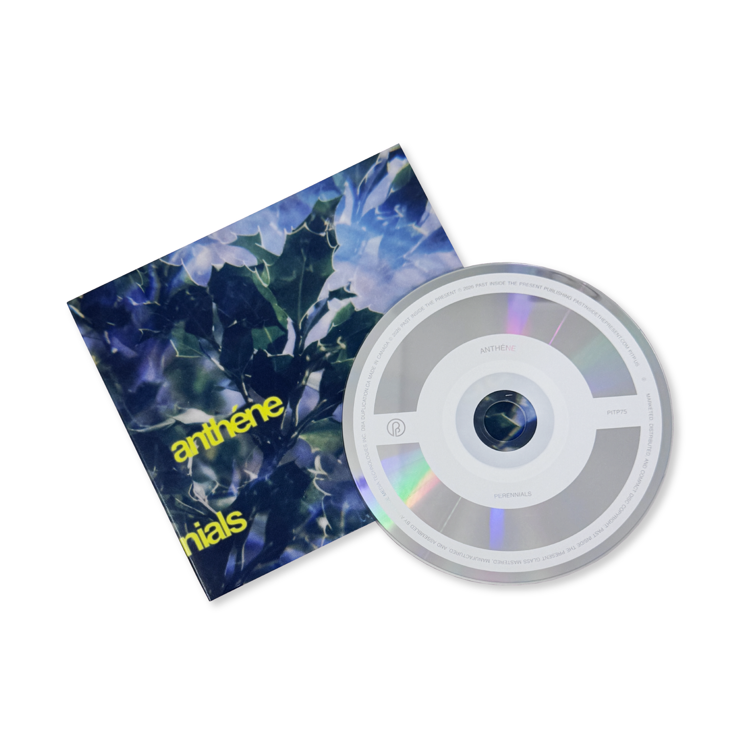 anthéne 'perennials' [CD]