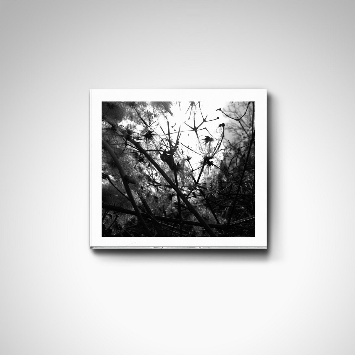 Joachim Spieth 'Irradiance' [CD] (EU import)