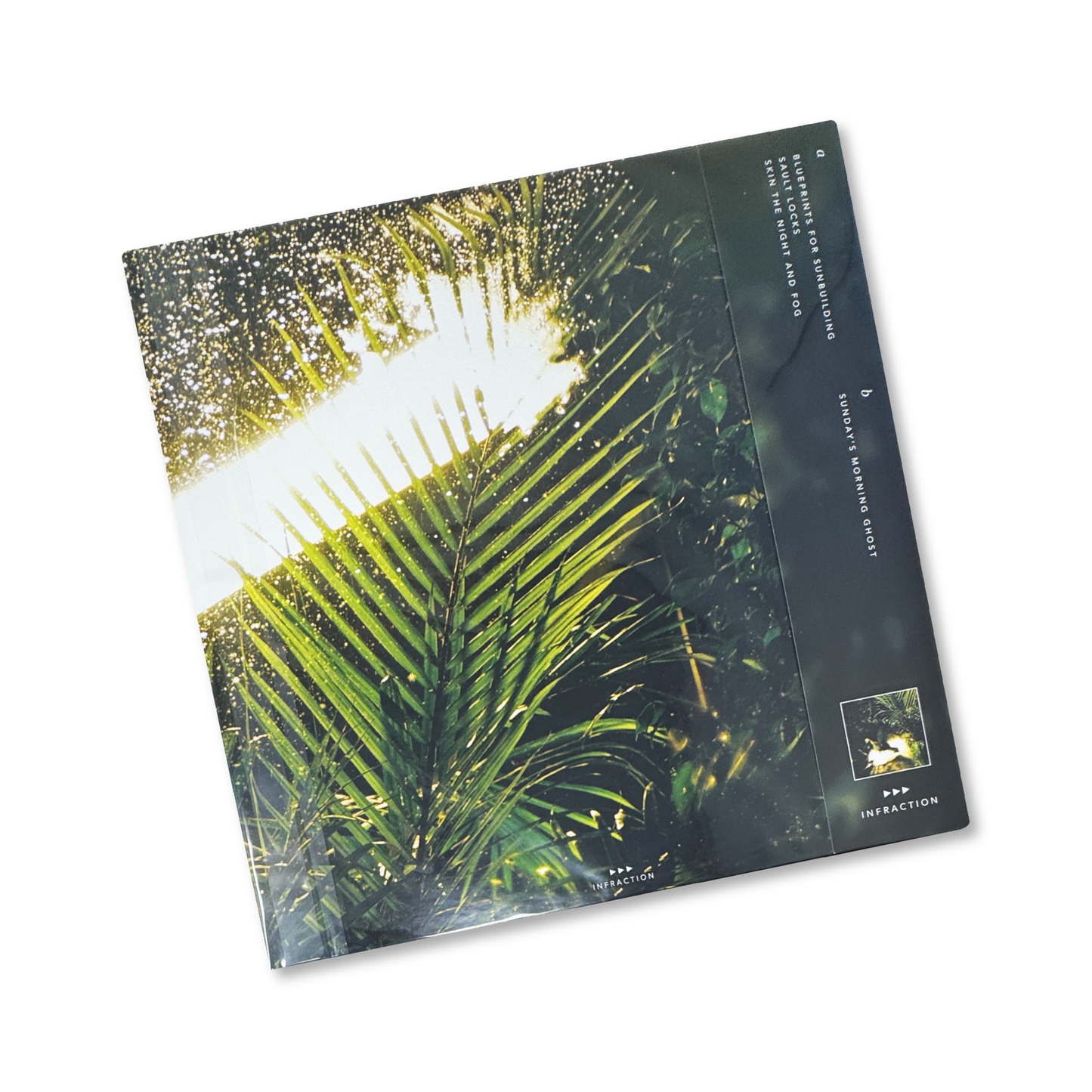 Drafted By Minotaurs 'Aversion Therapy' [LP]