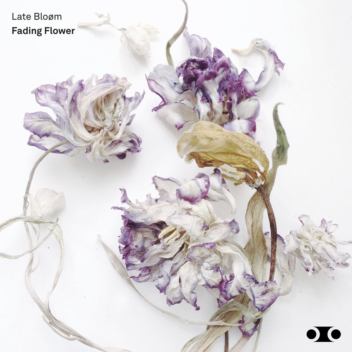 Simon Spiess 'Fading Flower' [CS]