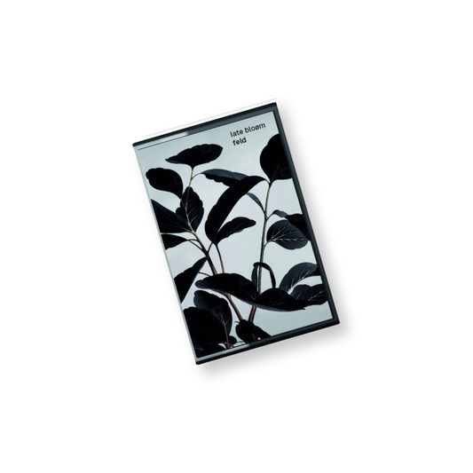 Simon Spiess 'FELD' [CS]