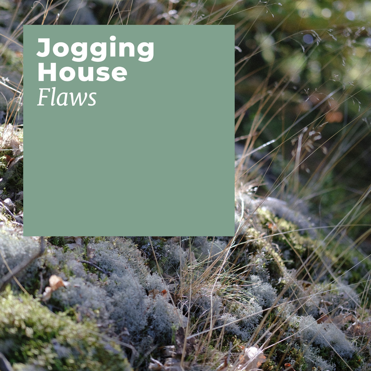 Jogging House 'Flaws' [2CS]