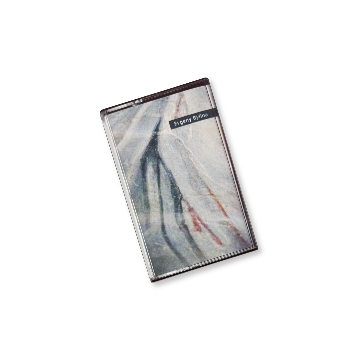 Evgeny Bylina 'Accidental Meetings' [CS]