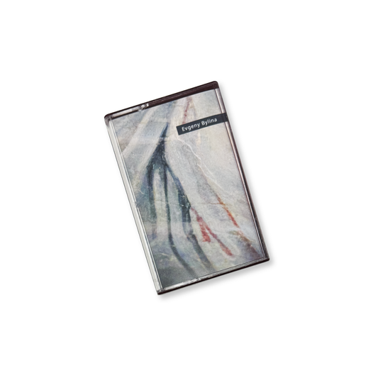 Evgeny Bylina 'Accidental Meetings' [CS]