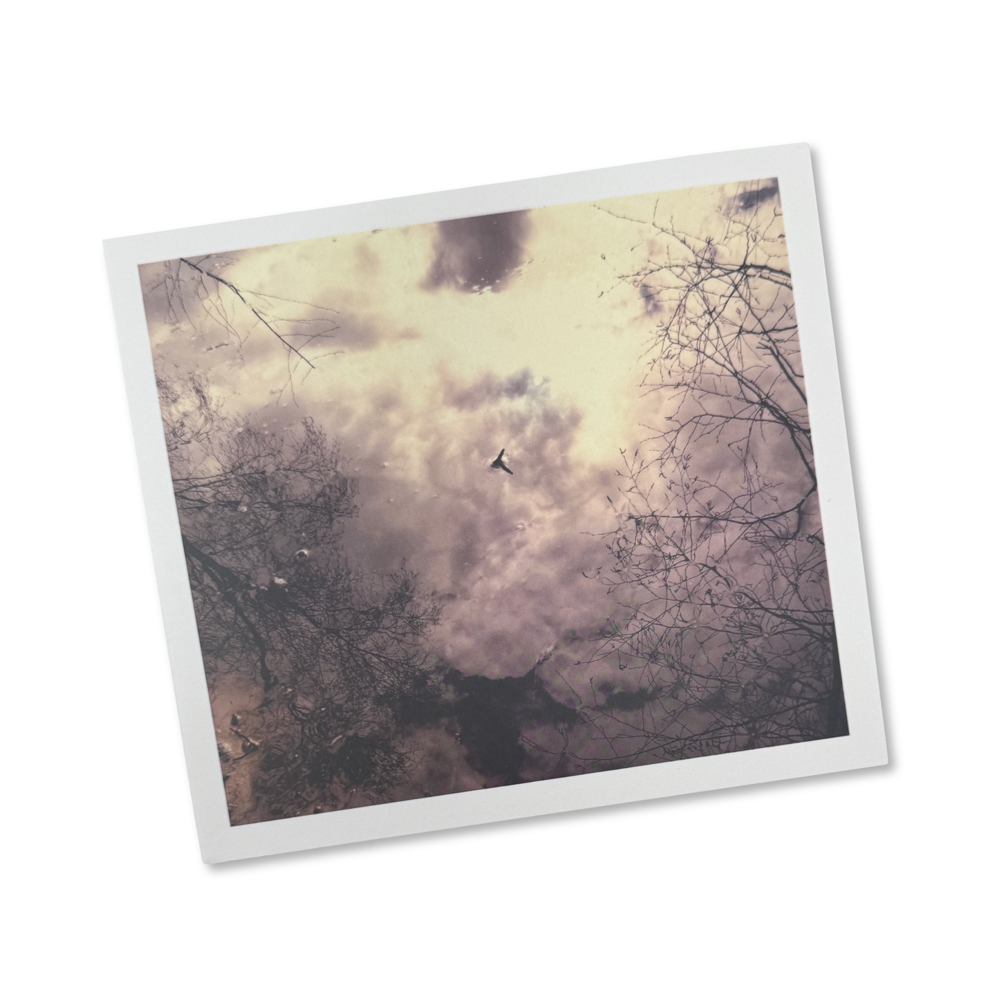 't Geruis 'The Kindest Encounters' [CD]