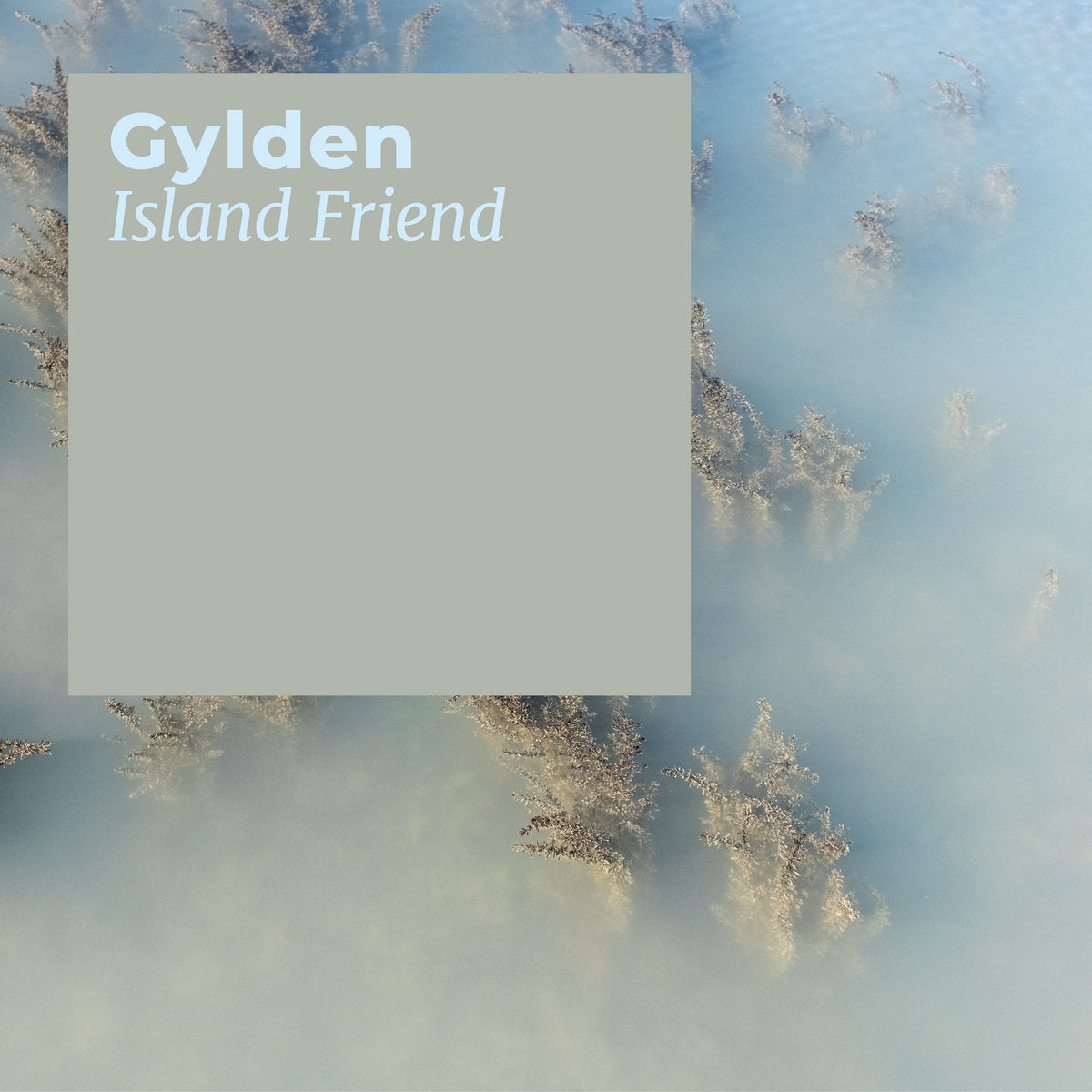 Gylden 'Island Friend' [CS]