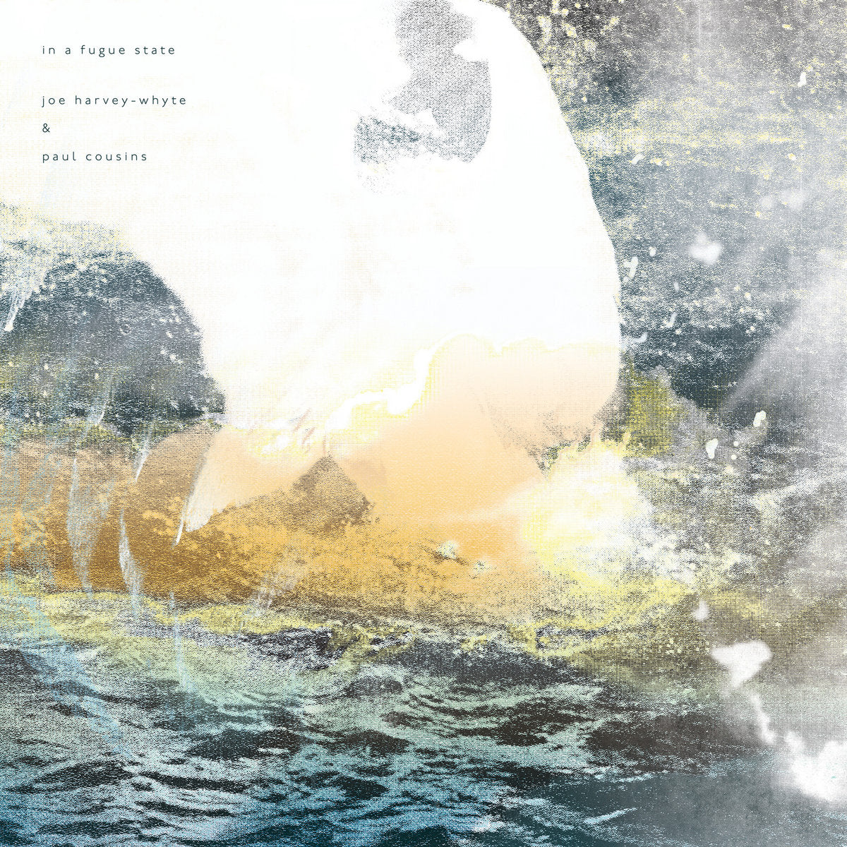 Joe Harvey-Whyte & Paul Cousins 'in a fugue state' [LP] (UK Import)