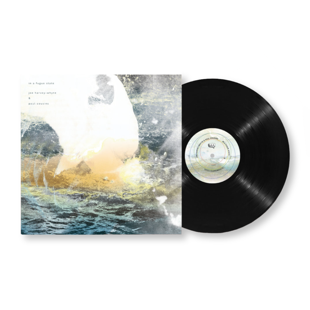 Joe Harvey-Whyte & Paul Cousins 'in a fugue state' [LP]