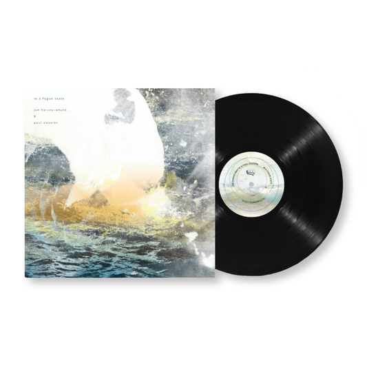 Joe Harvey-Whyte & Paul Cousins 'in a fugue state' [LP]