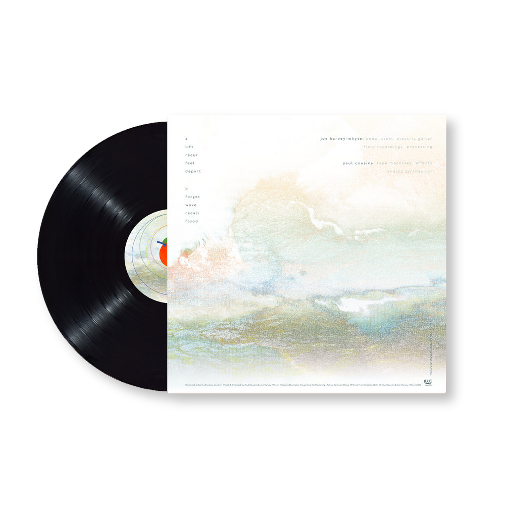 Joe Harvey-Whyte & Paul Cousins 'in a fugue state' [LP]