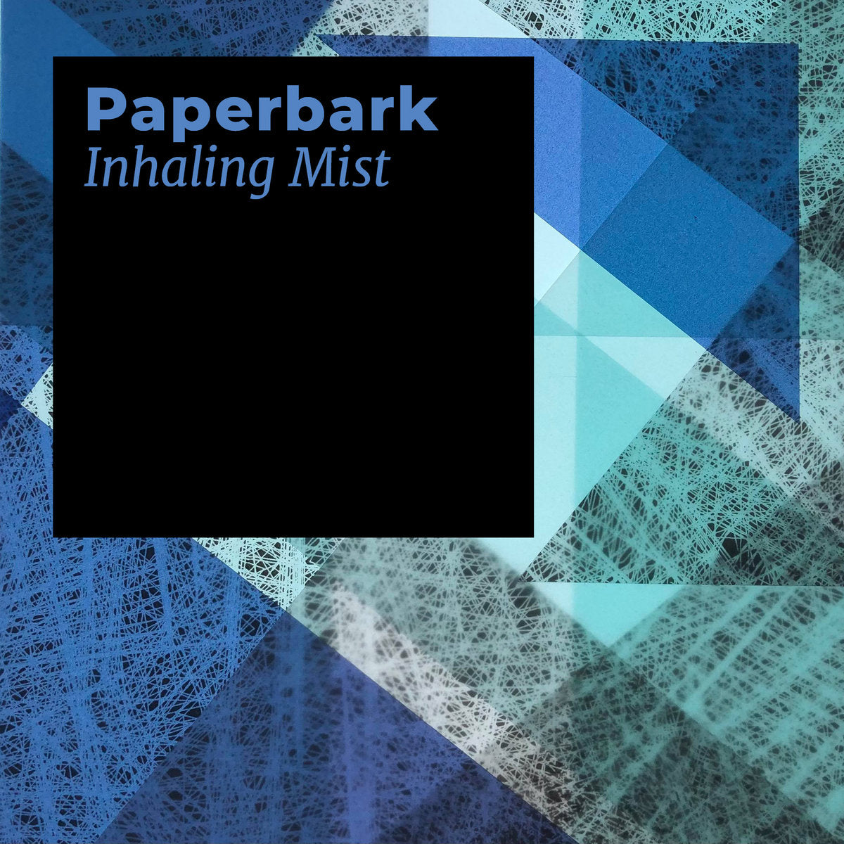 Paperbark 'Inhaling Mist' [CS]
