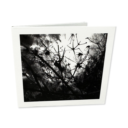 Joachim Spieth 'Irradiance' [CD] (EU import)