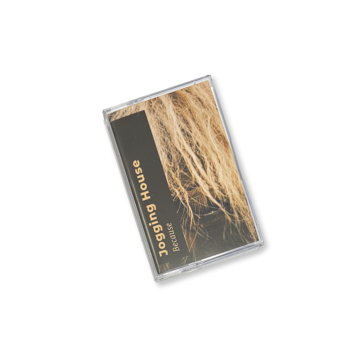 Jogging House 'Because' [CS]