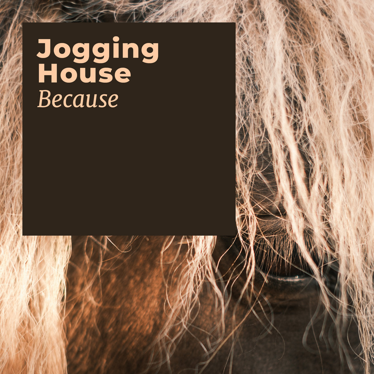 Jogging House 'Because' [CS]