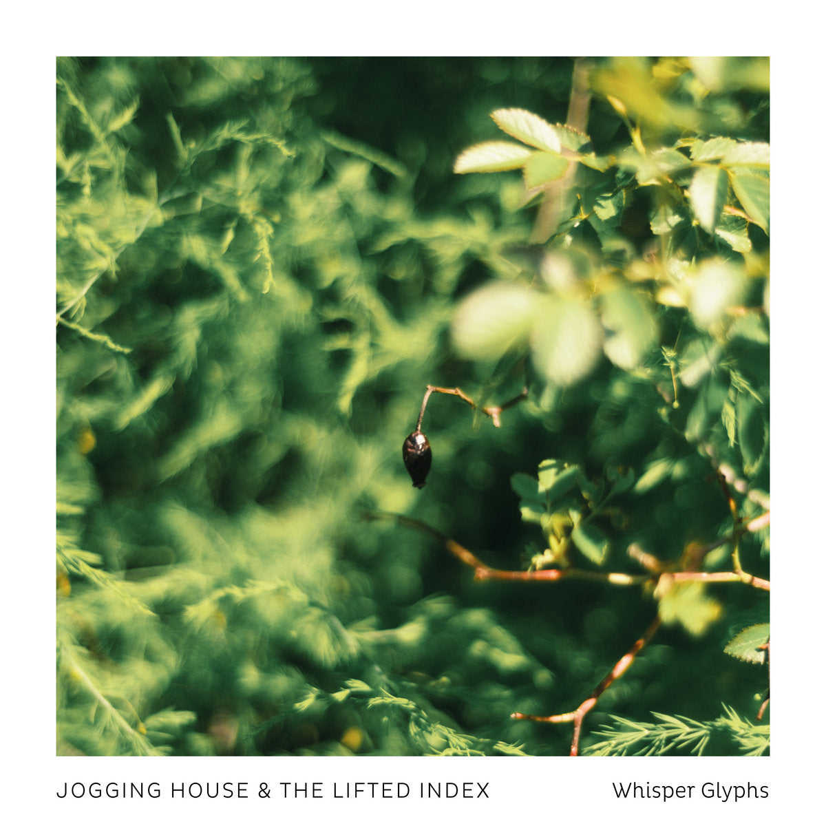Jogging House & The Lifted Index 'Whisper Glyphs' [CS]