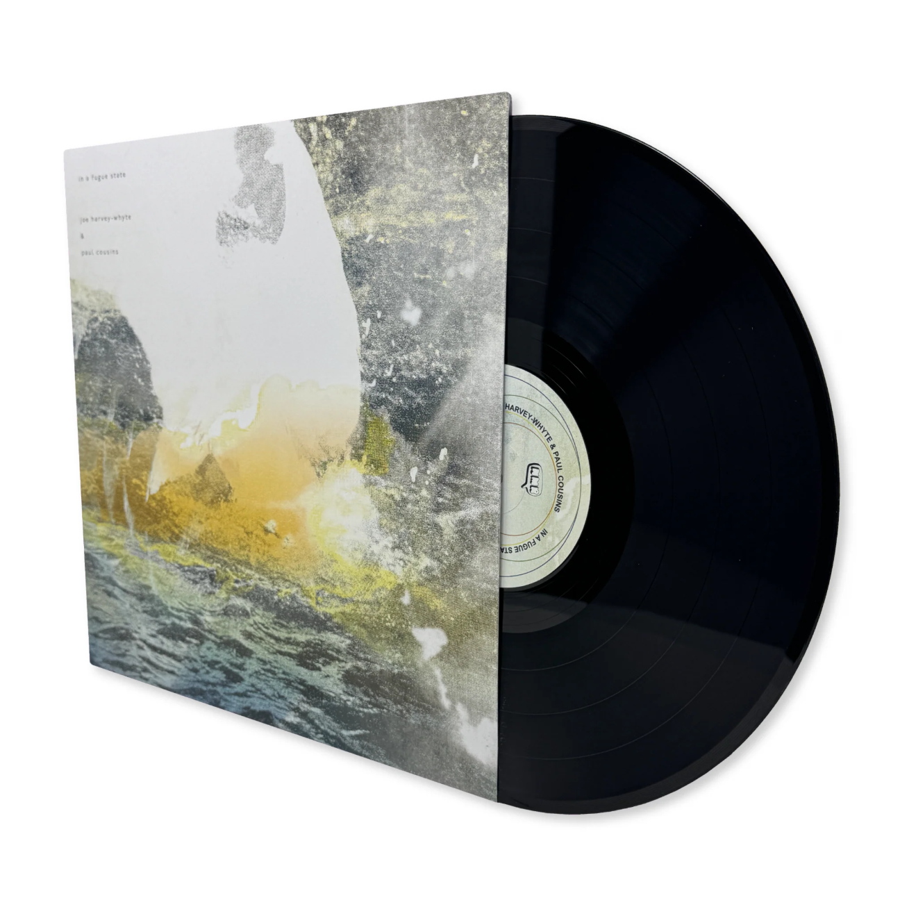 Joe Harvey-Whyte & Paul Cousins 'in a fugue state' [LP]