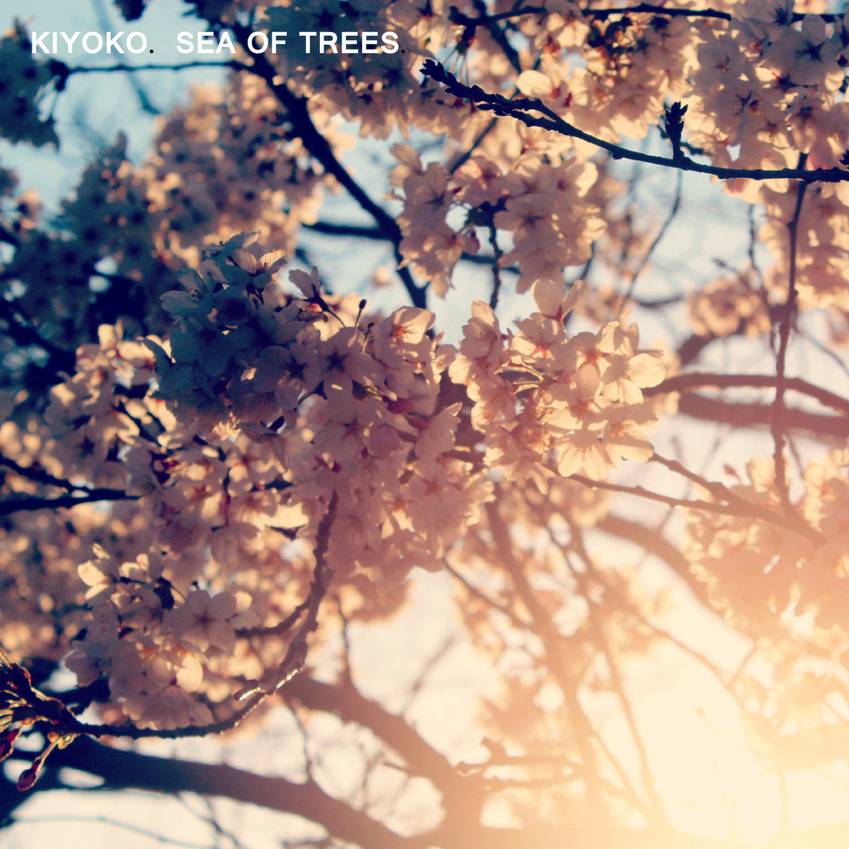 Kiyoko 'Sea Of Trees' [12"]