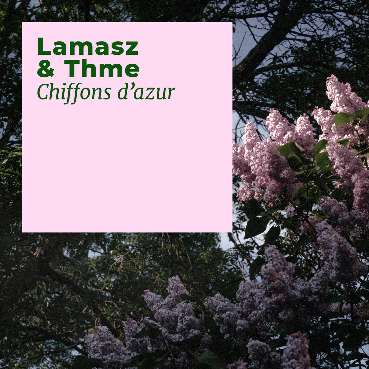 Lamasz & Thme 'Chiffons d'azur' [CS]