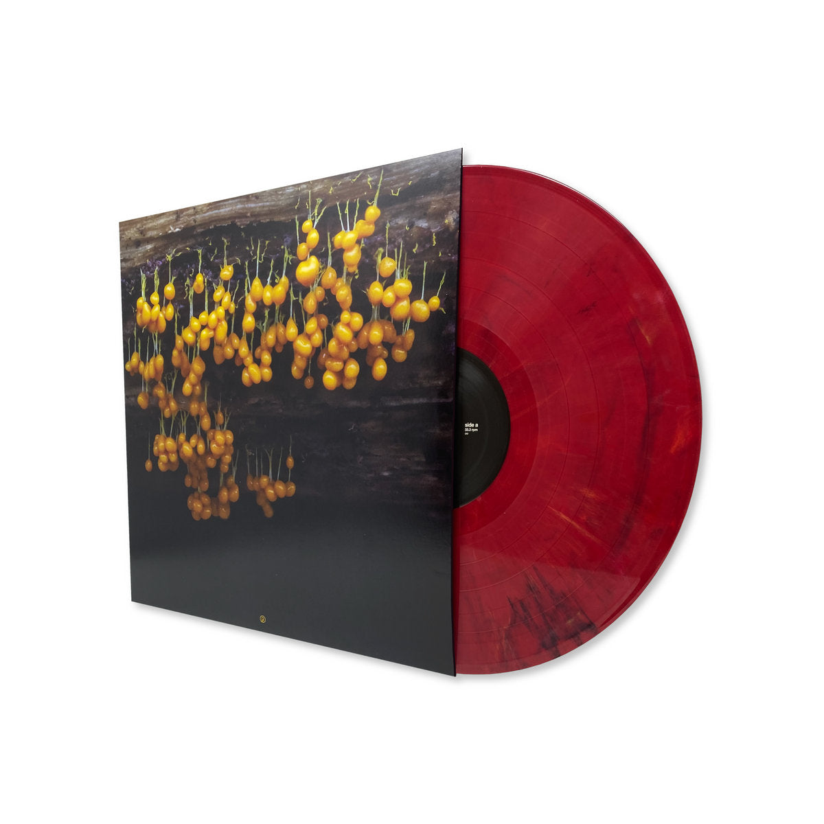 Lav 'A New Landscape' [LP]