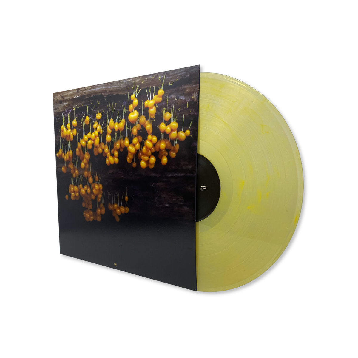 Lav 'A New Landscape' [LP]