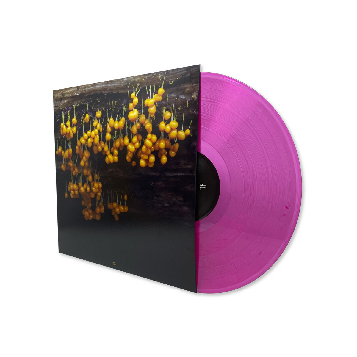 Lav 'A New Landscape' [LP]