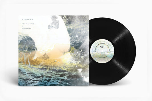 Joe Harvey-Whyte & Paul Cousins 'in a fugue state' [LP] (UK Import)