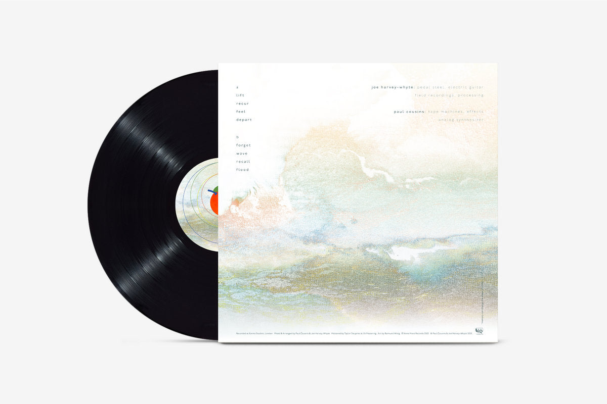 Joe Harvey-Whyte & Paul Cousins 'in a fugue state' [LP] (UK Import)