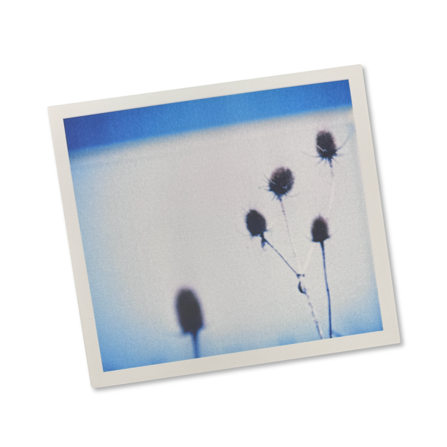 maps and diagrams 'tone isolation' [CD]