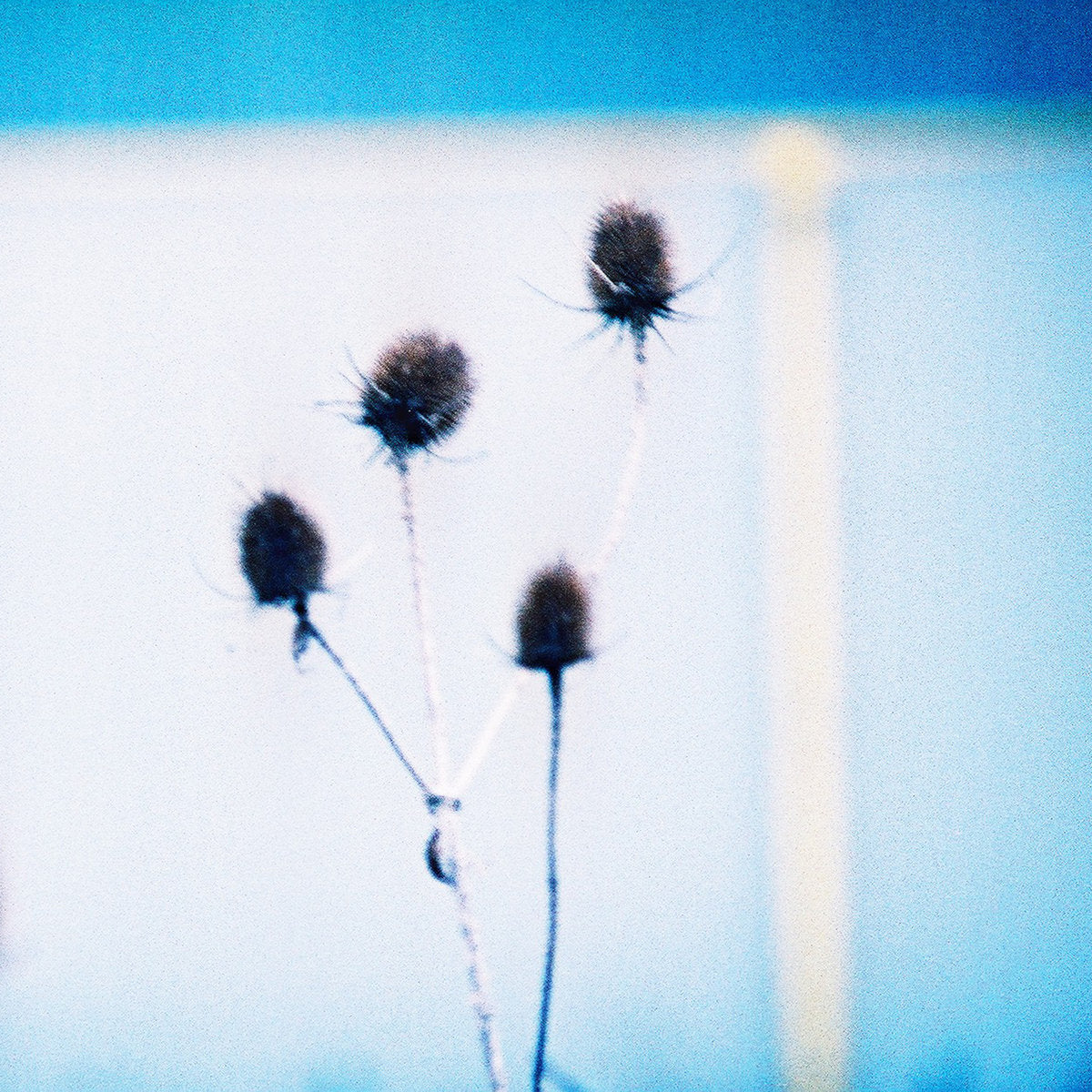 maps and diagrams 'tone isolation' [CD]