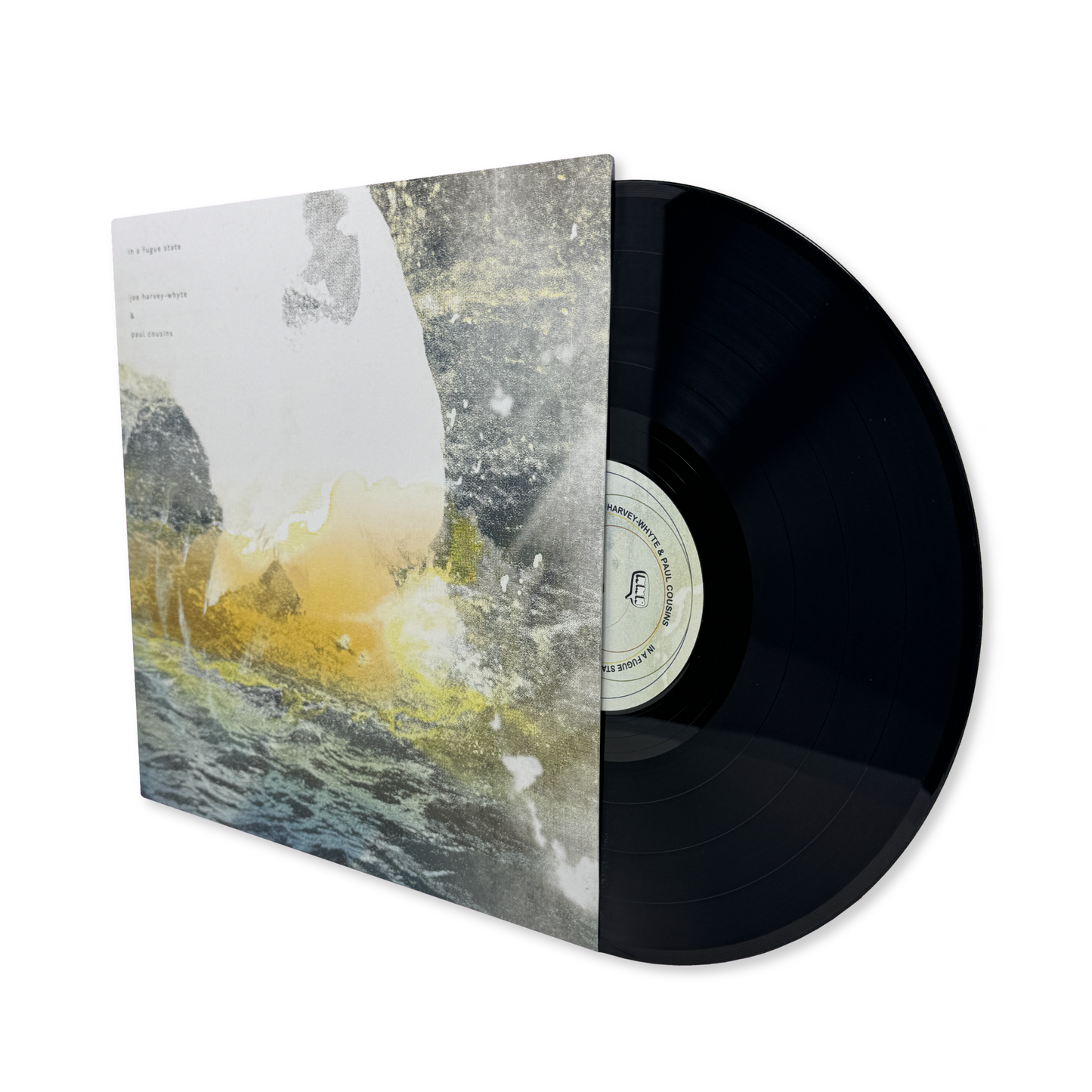 Joe Harvey-Whyte & Paul Cousins 'in a fugue state' [LP] (B-STOCK)