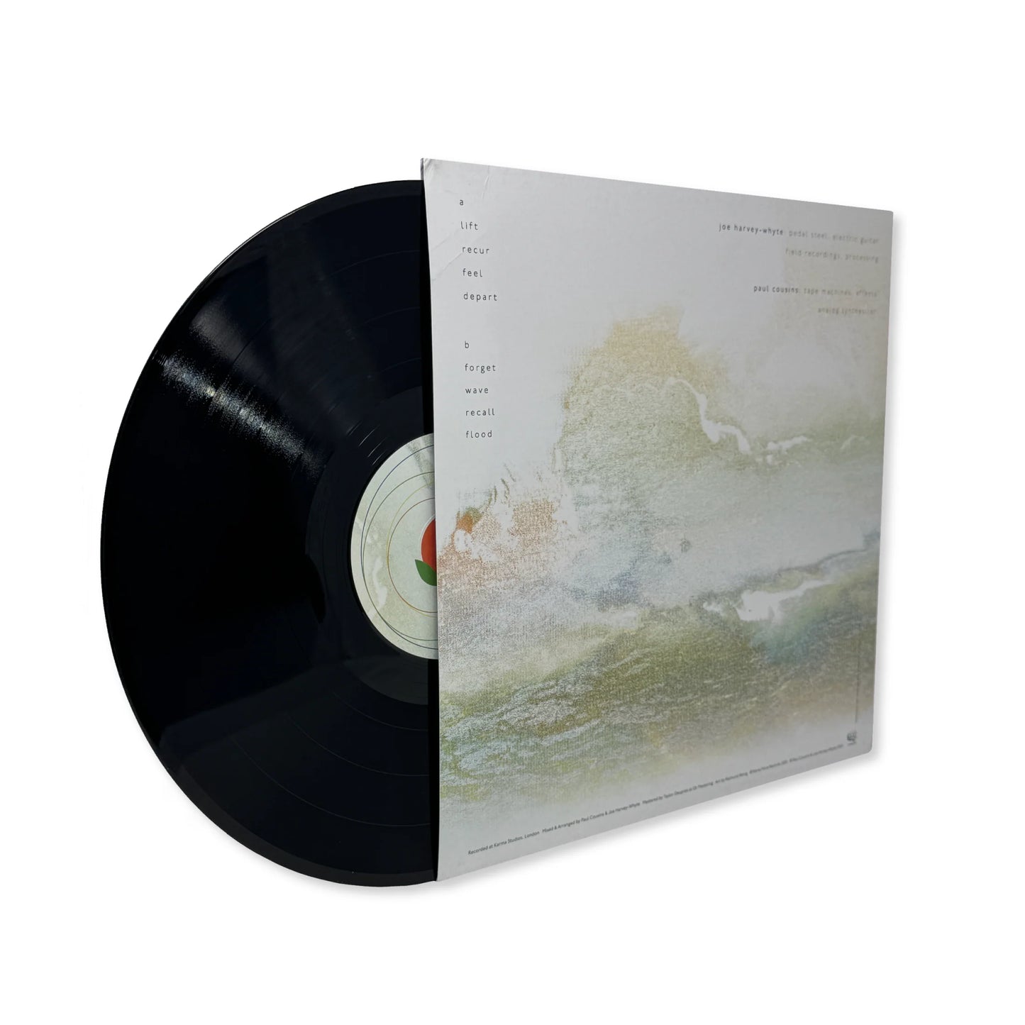 Joe Harvey-Whyte & Paul Cousins 'in a fugue state' [LP]