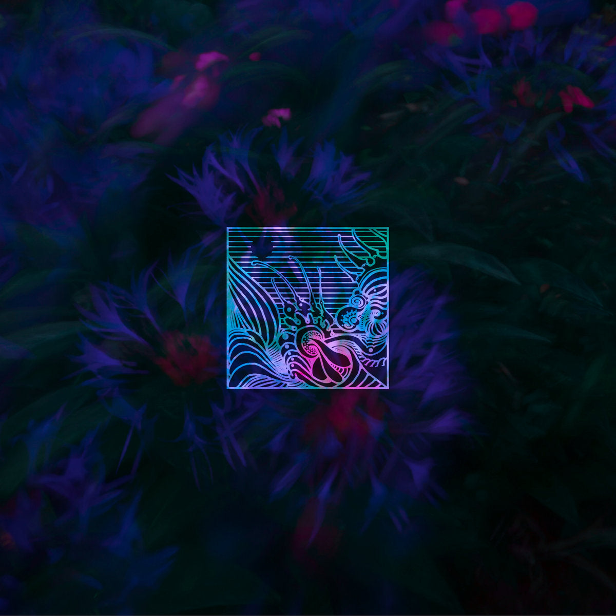 Abraço de Vapor 'Nocturn I-V' [CD]