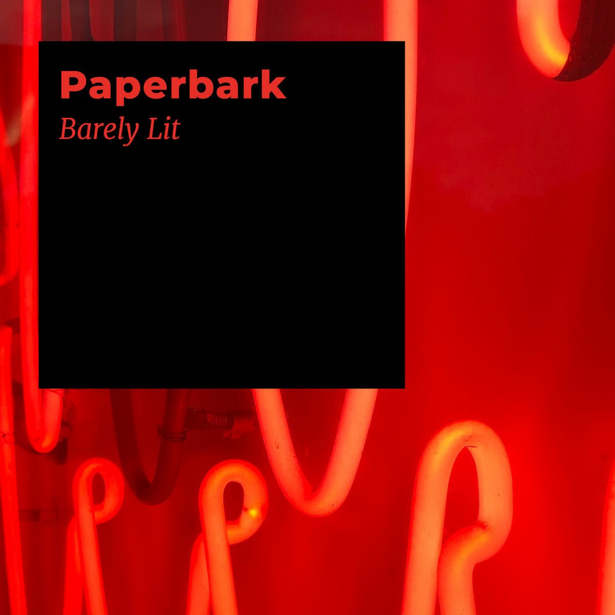 Paperbark 'Barely Lit' [LP]