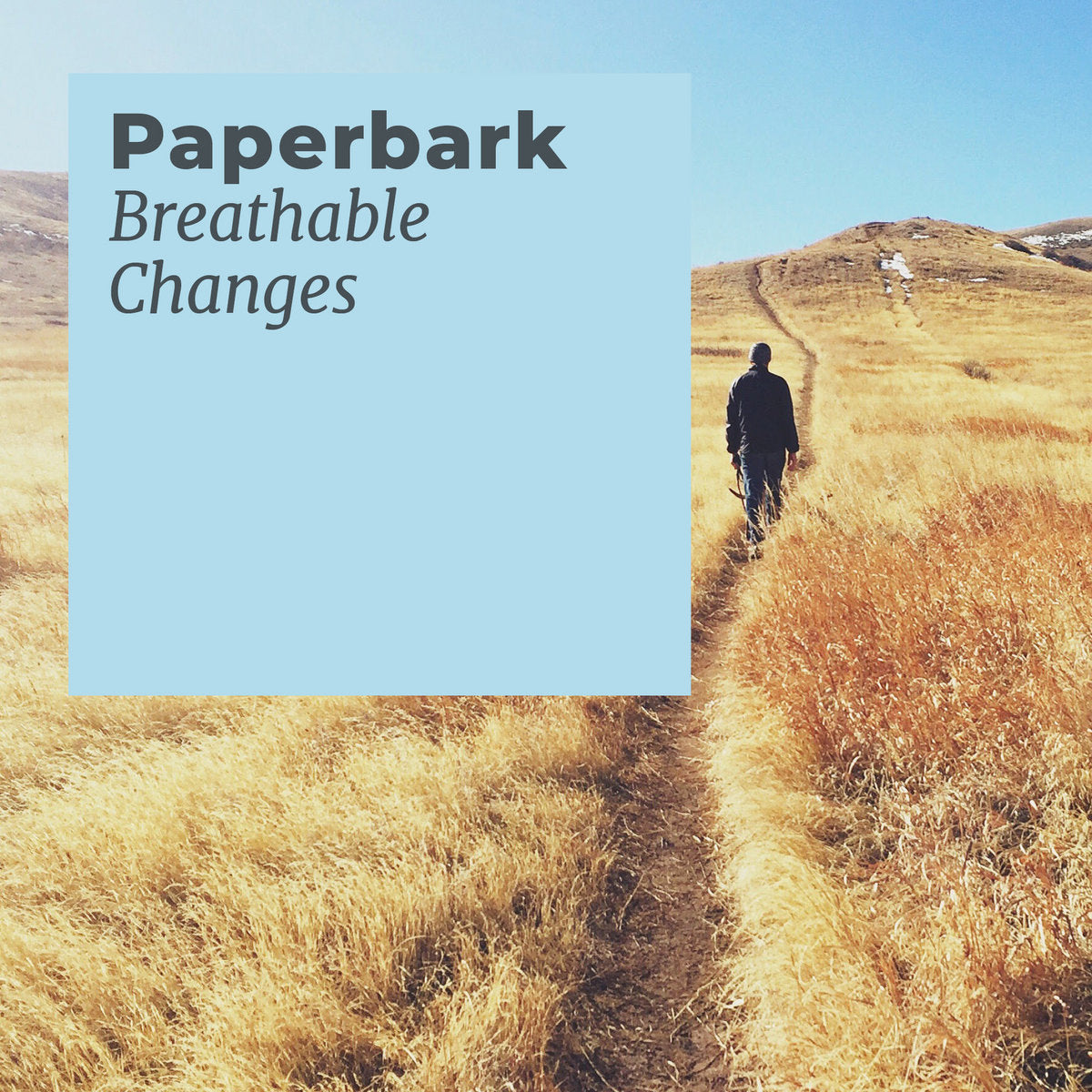 Paperbark 'Breathable Changes' [CS]