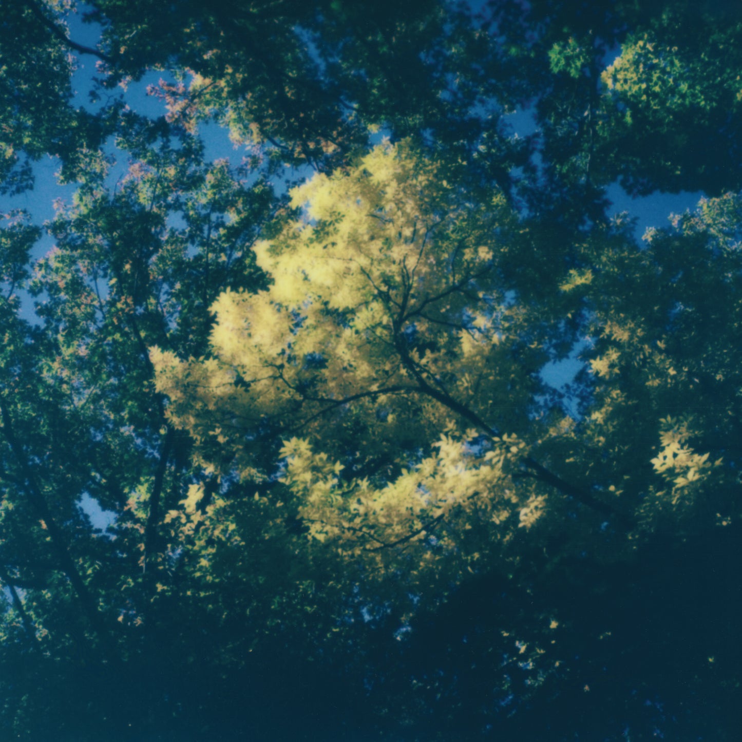 zakè & marine eyes 'Still Beauty' [CD]