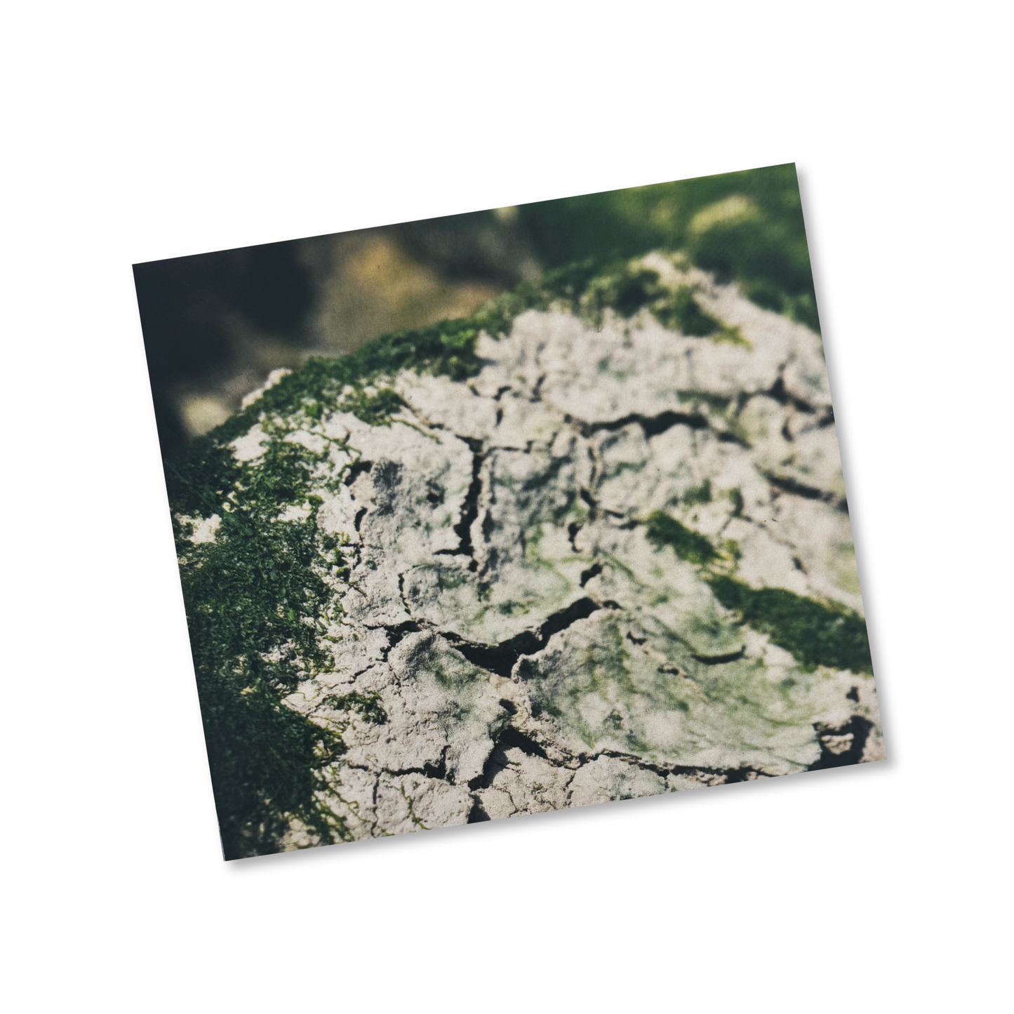 Jeannine Schulz 'Humble' [CD]