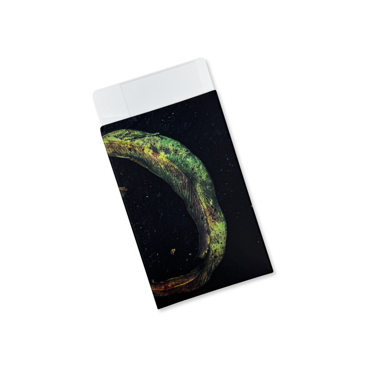 Purl 'Evighetsblomma' [CS]