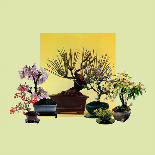 Rosales 'Woven Songs' [CD]