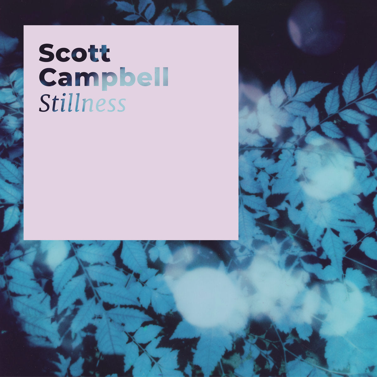 Scott Campbell 'Stillness' [LP]